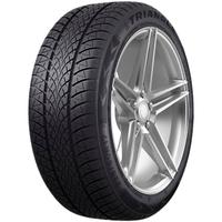 TRIANGLE WINTERX TW401 205/45R17 88V XL BSW