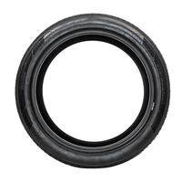 APLUS A610 205/45R17 88W XL BSW