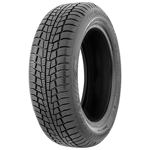 GISLAVED EURO*FROST 6 205/60R16 96H