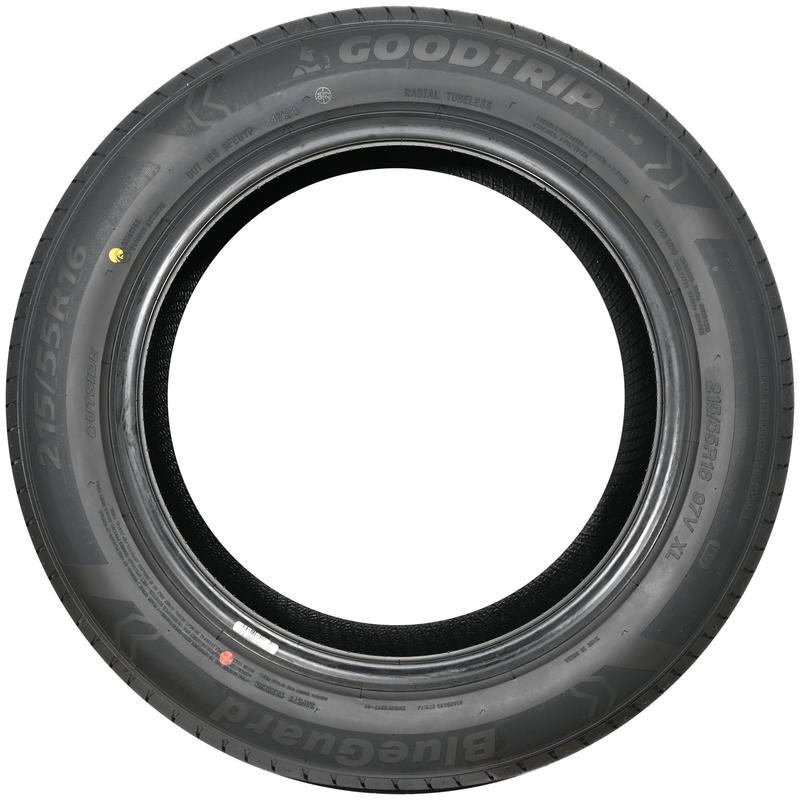GOODTRIP BLUEGUARD 205/60R16 92V BSW