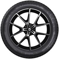 TRIANGLE SNOWLINK PL01 225/55R18 102R XL NORDIC COMPOUND BSW