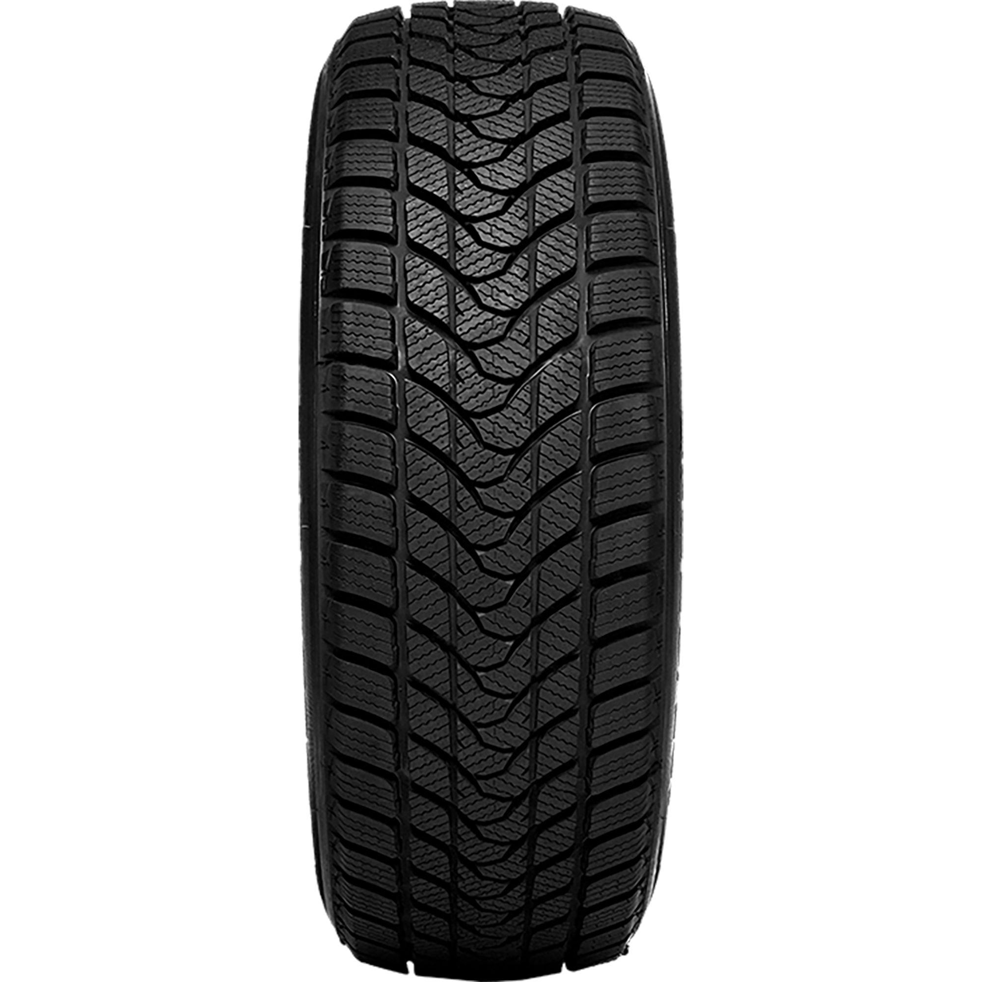 DELINTE WINTER WD1 205/55R16 91H BSW