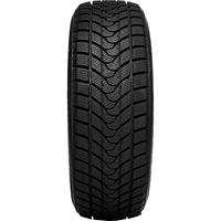 DELINTE WINTER WD1 205/55R16 91H BSW