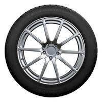 LINGLONG GREEN-MAX WINTER HP 175/70R13 82T BSW
