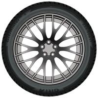 GITI GITIWINTER W2 205/45R17 88V XL BSW