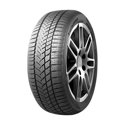 AUTOGREEN WINTER-MAX A1 WL5 205/50R17 93V XL