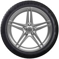 TRIANGLE WINTERX TW401 205/45R17 88V XL BSW