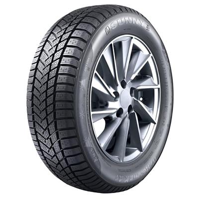 SUNNY WINTERMAX NW211 225/50R17 98V XL BSW