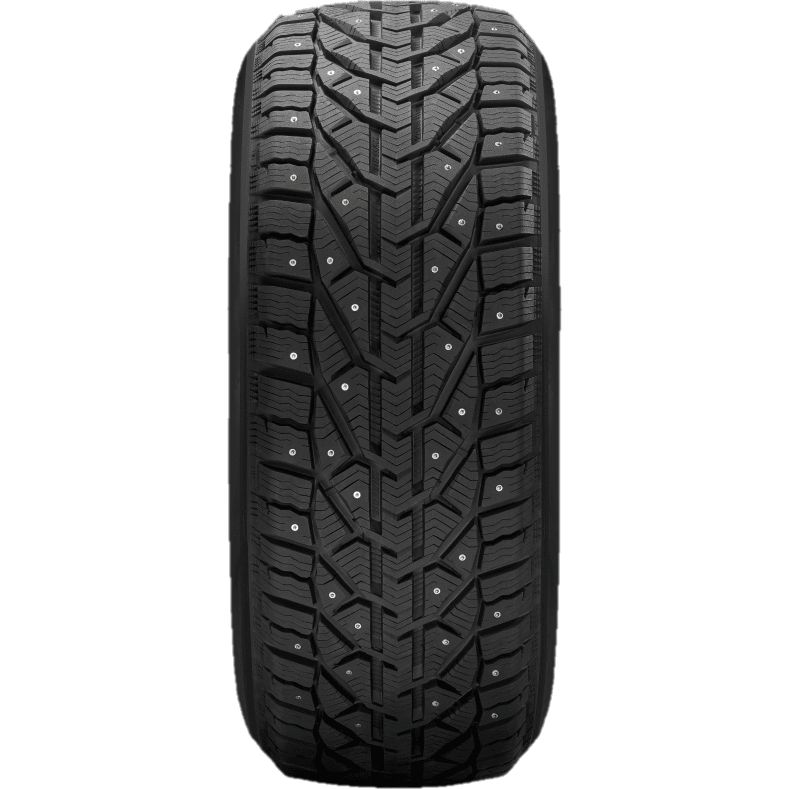 TIGAR TIGAR ICE 205/65R15 99T XL BSW