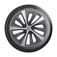 AUSTONE FIXCLIME SP-401 235/55R18 104V XL BSW